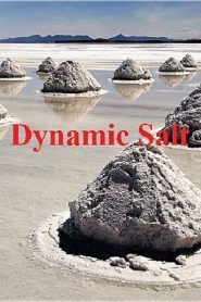 Dynamic Salt
