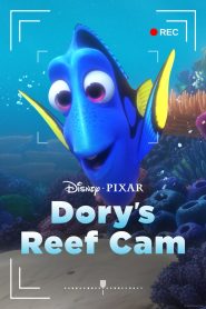 Dory’s Reef Cam