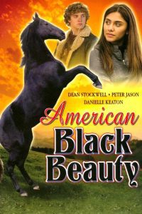 American Black Beauty