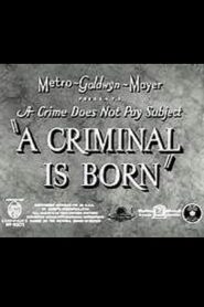 A Criminal Is Born