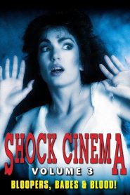 Shock Cinema: Volume Three